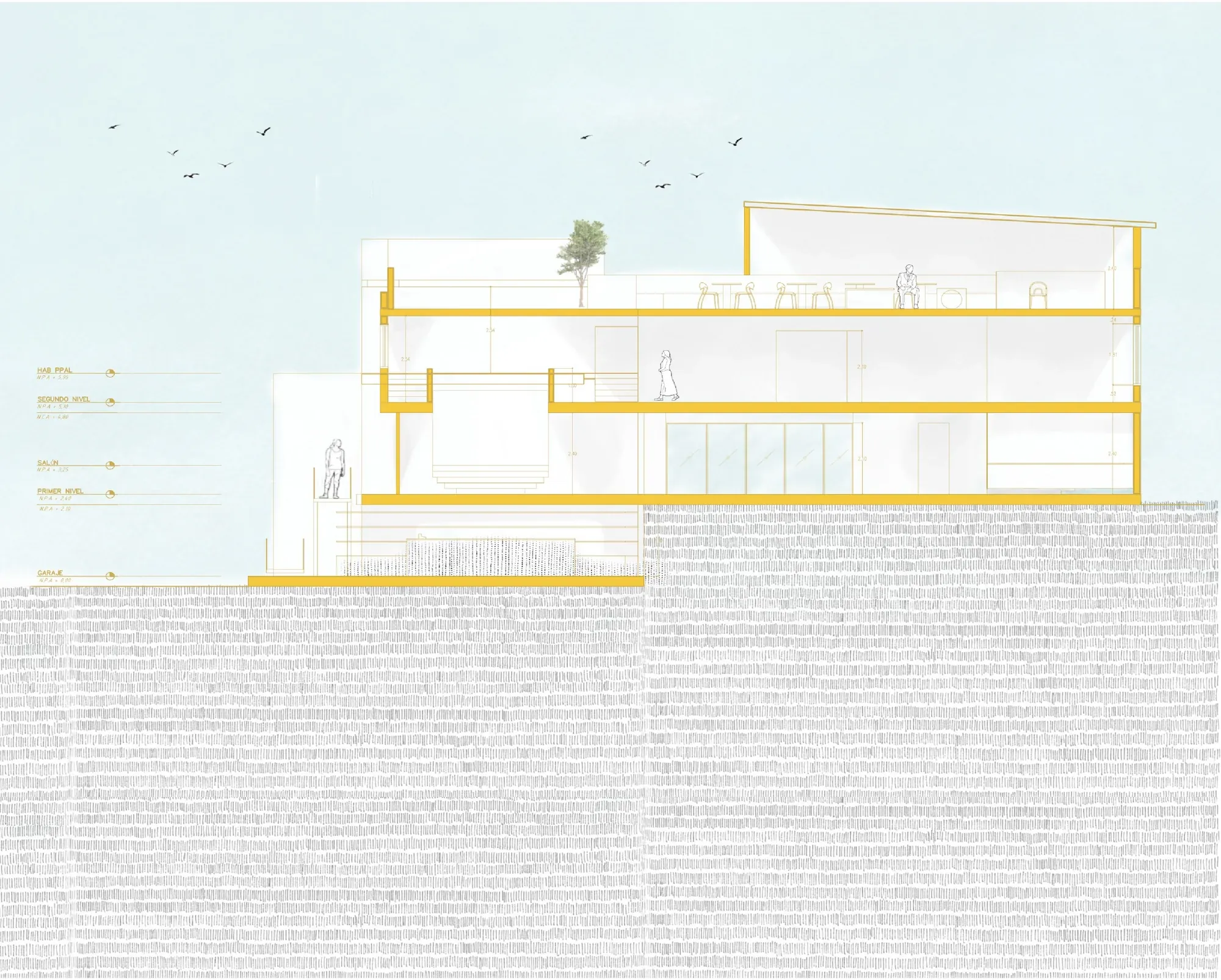 Corte arquitectónico transversal